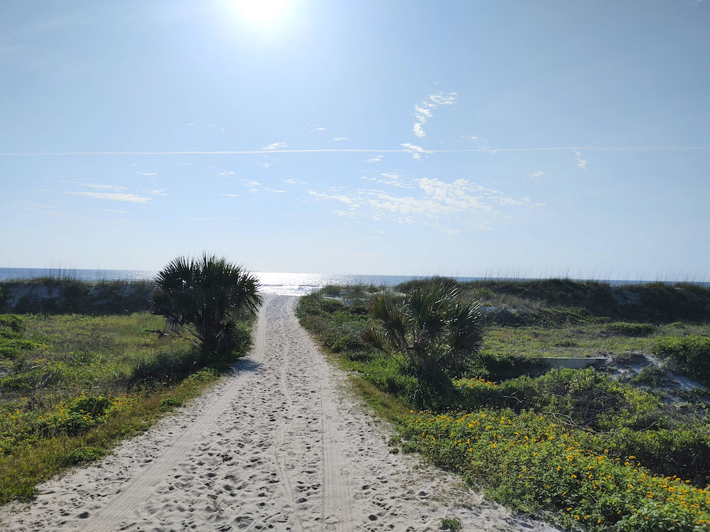Addiction and Recovery, Image of a path to the beach